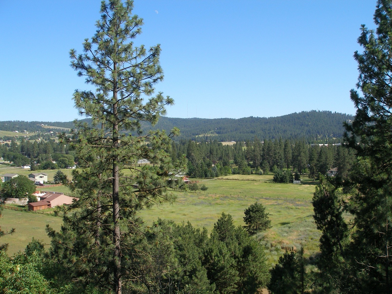 community_viewpoint