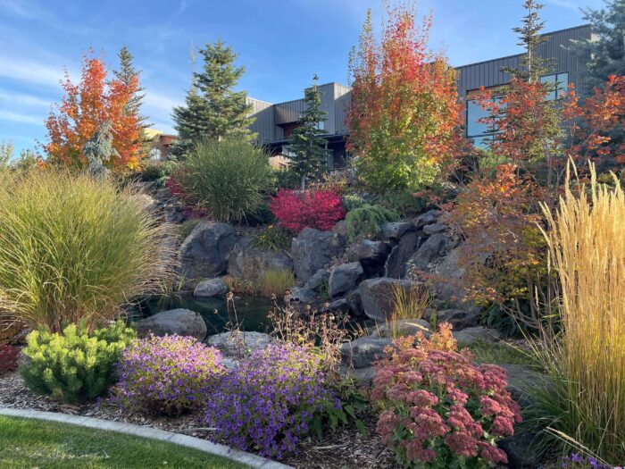 Central Garden Flowers