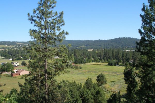 Bella Terra Gardens Community Viewpoint